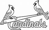 Coloring Pages Louis St Cardinals Cardinal Reds Cincinnati Blues Baseball Logo Printable Drawing Red Adult Mlb Bird Color Line Sf sketch template