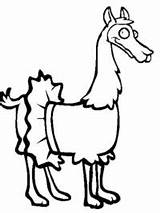 Alpaca Topkleurplaat Dieren sketch template