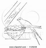 Swallow Nest Clipart Cartoon Outlined Coloring Its Beams Between Picsburg Vector Swallows Clipground Bird Tree Small sketch template