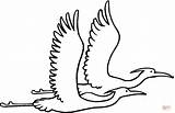 Egret Reiher Volando Supercoloring Juntas Fliegen Ausmalbild Nebeneinander Heron Imprimir Egrets Kategorien sketch template