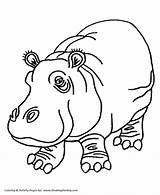 Hippo Drawing Kids Outline Getdrawings sketch template