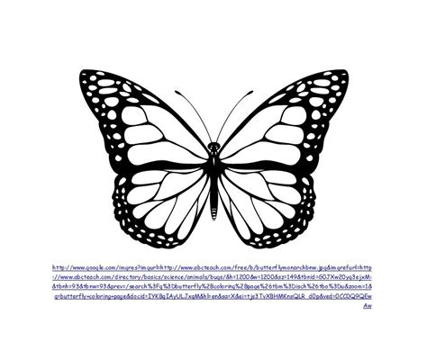 butterfly wing template printable