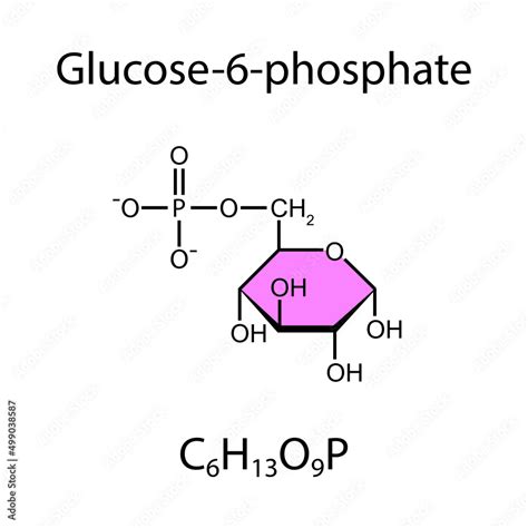 glucose  phosphate chemical structure vector illustration stock