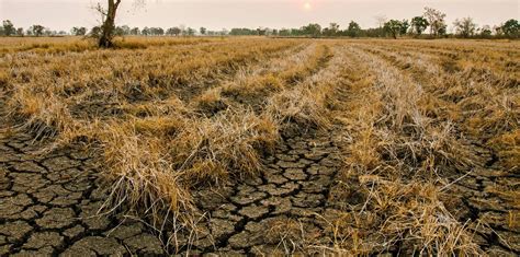 secheresse lagriculture mise au defi