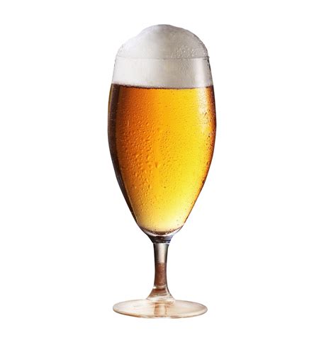 beer glass png image purepng  transparent cc png image library