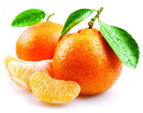 meaning  symbolism   word tangerine