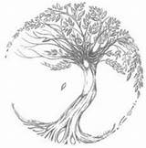 Lebensbaum Baum Ausmalbild Keltischer Lebens Sun sketch template