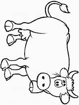 Coloring Cow Outline Pages Clipart Kids Cliparts Printable Liger Popular Template Library Gif Coloringhome Szinezo sketch template
