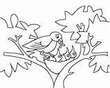 Coloring Birds Baby Pages Bird Nest Kids Mommy Outline Printable Feeding Tree Drawing Lives Cartoon Funny Sheet Fun Colouring Color sketch template
