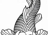 Koi Coloring Fish Getcolorings Pages sketch template