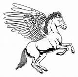 Pegasus Rearing Winged Vleugels Atstockillustration Paard Vecteur Amour Vergunning sketch template