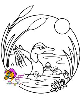 birds  flowers coloring pages  printable coloring pages
