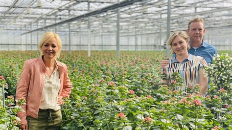 zondag  mei  boer zoekt vrouw special boer jaap noord holland en boer herman frankrijk