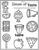 Senses Preschool Planningplaytime Playtime Sentidos Niños sketch template