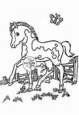 Coloring Pages Pony Kids Realistic Horse Girls Sheets Wuppsy sketch template