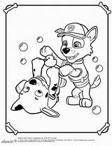 Paw Patrol Coloring Pages Print Birthday Printable Realistic sketch template