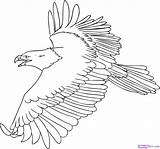Mewarnai Elang Burung Terbang sketch template