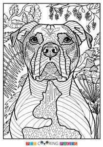 summer coloring pages  print   adults