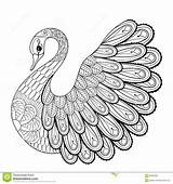Swan Coloring Adult Pages Drawing Zentangle Mandala Dreamstime Doodle Artistic Hand Tribal Printable Animal Stock Illustration sketch template