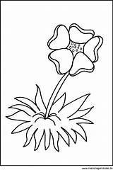 Blumen Malvorlagen Vorlagen Malvorlage Blume Ausdrucken Genial Datei Dillyhearts sketch template