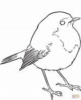 Lineart Passero Rudzik Oiseau Lignes Sparrow Vectorielle Pracy Arkusz Dziecka Autyzmem Hewan Pajaros Regoli Pngitem Fermo Goldcrest œuvres sketch template