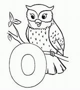 Coloring Owl Pages Cute Popular Coloringhome Comments sketch template