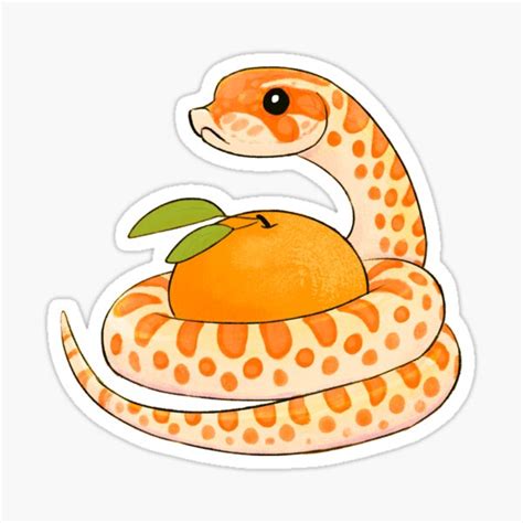 cute hognose snake ubicaciondepersonascdmxgobmx