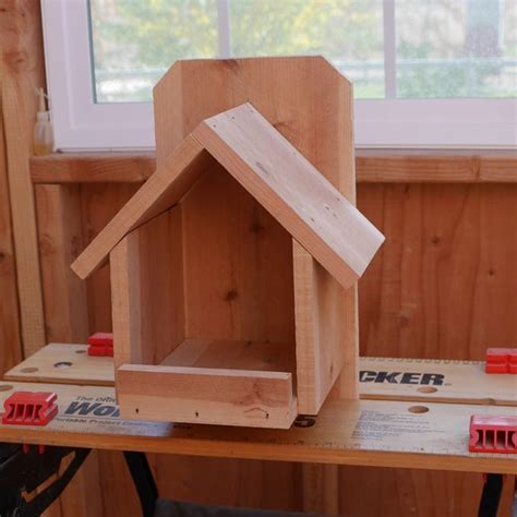 cardinal nesting shelter birdhouse plans construct
