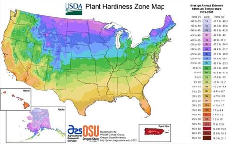 How To Grow Avocado From Seed 2 Easy Ways Plant Hardiness Zone Map