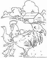 Chickens Honkingdonkey Geese sketch template