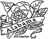 Coloring State Alabama Pages Flowers Kids Flower sketch template