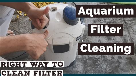 clean aquarium filter easiest   clean aquarium filter