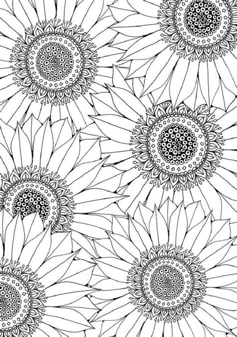 read morefree sunflower coloring pages sunflower coloring pages
