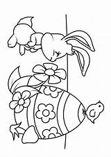 Pascua Pasqua Huevo Conejito Coniglietto Uovo Pulcino Colorear Disegno sketch template