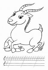 Antelope Preschool Coloring Pages Animals Printable sketch template