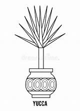 Houseplants Yucca sketch template