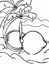 Coconut Coloring Pages Activity Pack Great Getcolorings Printable Pag Getdrawings Color sketch template