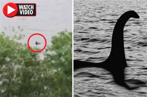 loch ness monster sighting couple s video of nessie deemed credible