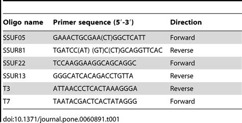 oligonucleotide primers for sequencing of the rn 18s rrna gene