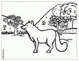 Coloring Pages Nature Scenes Clipart Fox Scene Gif sketch template