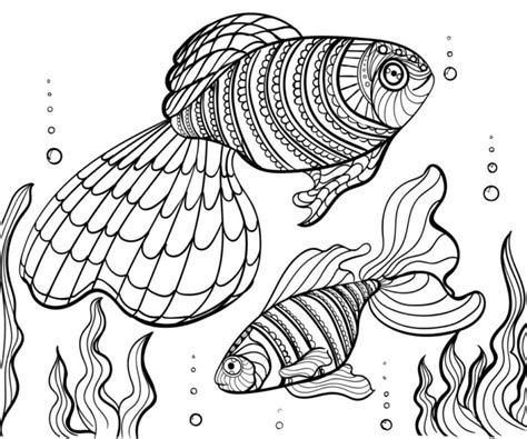 fish coloring pages   printable  verbnow