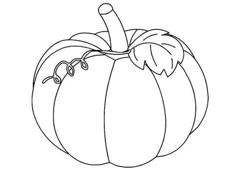 printable pumpkins coloring pages halloweencoloringpages read