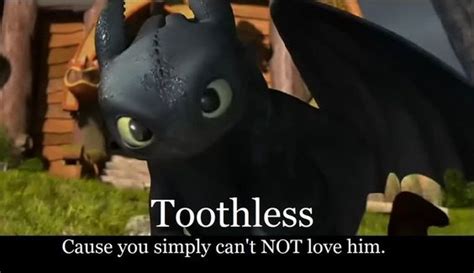 toothless double negative  love   pinterest