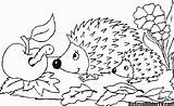 Igel Ausmalbilder Malvorlagen Egel Herbst Malvorlage Dieren Arici Hedgehog Ricci Colorat Animaatjes Animierte Boucle Herisson Coloriages Klassenkunst Ausmalen Tiere Egels sketch template