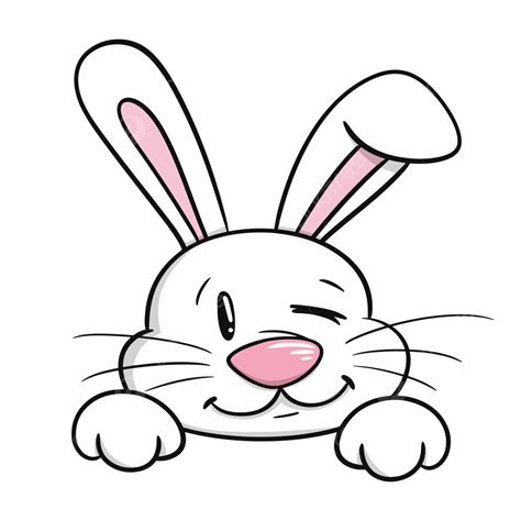 cute rabbit face happy lovely smile  blink bunny vector cute bunny