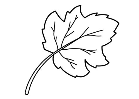 leaf coloring pages  preschool activity shelter