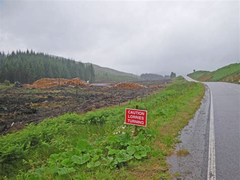 clearfelling  stacked logs   michael hogan geograph britain