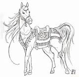 Tack Arabian Carousel Ceremonial 1384 Pixels 1400 Coloriage Visiter Cheval sketch template