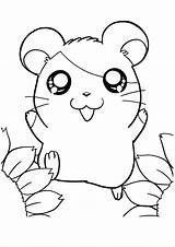 Coloring Pages Hamtaro Hamster Cute Color Print General Style Kids sketch template