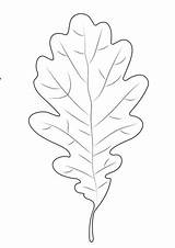Oak Leaf Coloring Pages Printable Supercoloring Categories sketch template